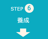 step06 養成